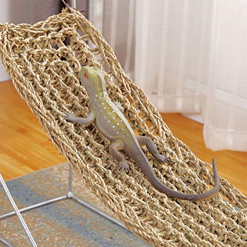 5 PIVBY+Reptile+Lounger+Bearded+Hammock