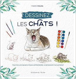 Dessinez Les Chats Beaux Arts 1 French Edition Fabien Molina Amazon Com Books
