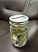 Galvanized Metal Coin Slot Bank Lid Insert for Mason, Ball, Canning Jars (6pack, Regular Mouth)