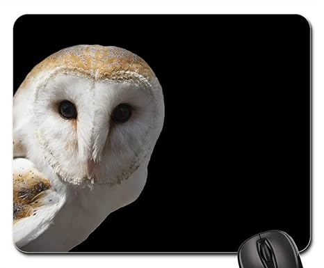 Amazon Com Mouse Pads Owl Eagle Owl Barn Owl Bird Bird Of Prey