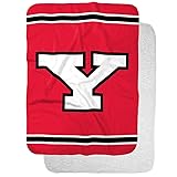 Youngstown State Penguins Primary Logo Stripes