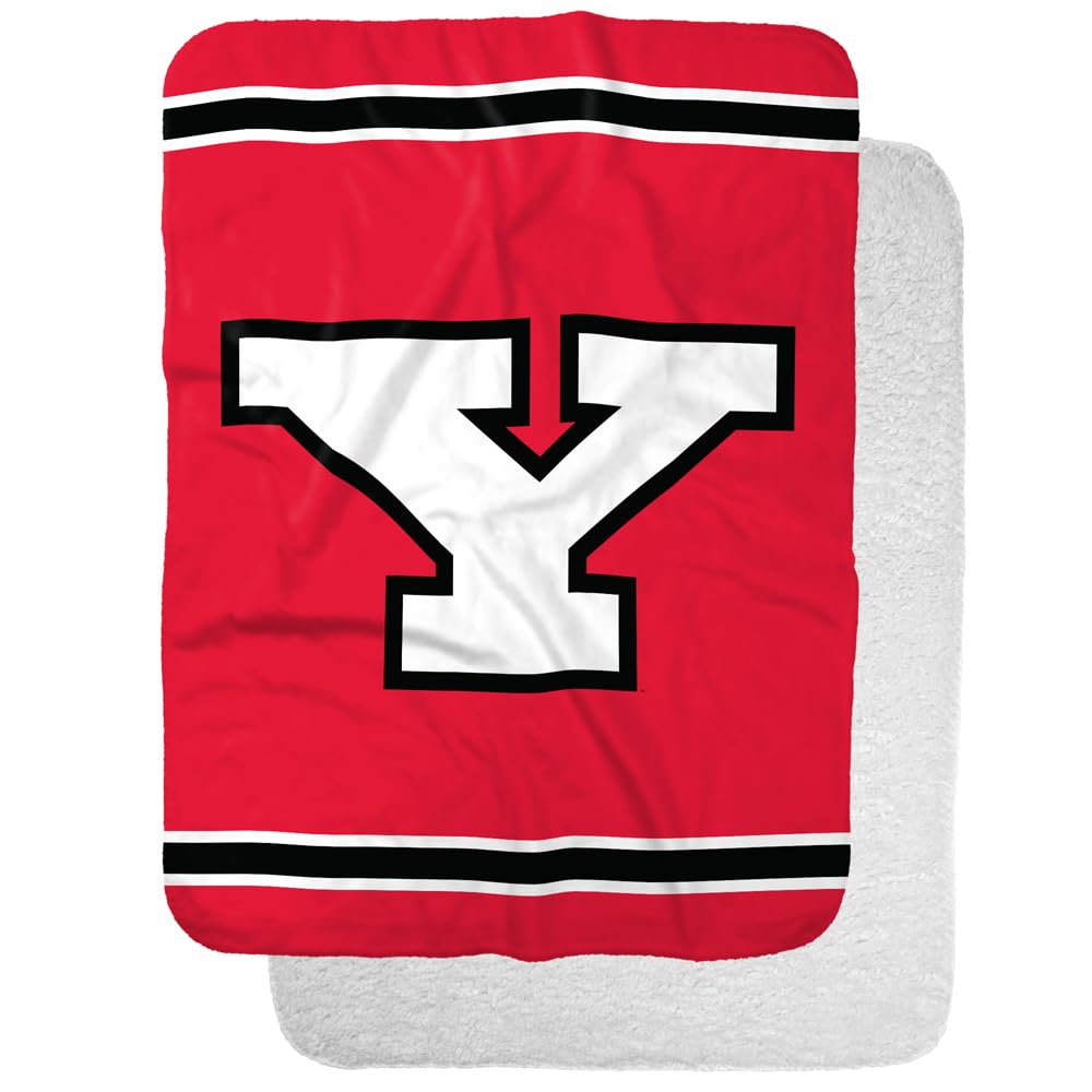 Youngstown State Penguins Primary Logo Stripes