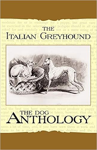 The Italian Greyhound (Vintage Dog Books Breed Classic) �y�[�p�[�o�b�N - 2007/12/30