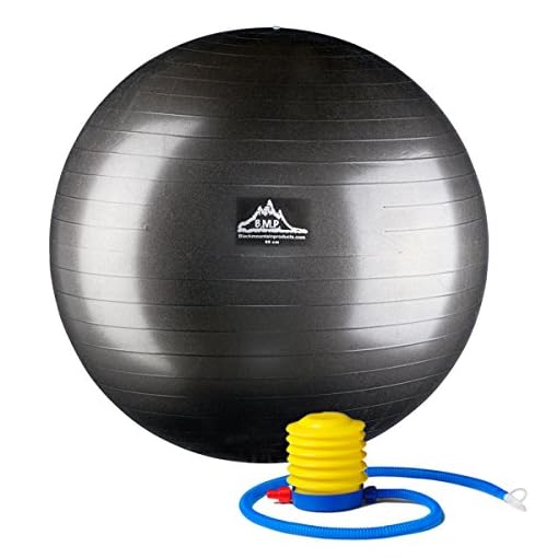 Black Mountain Products Professional Grade Stability Ball 1000lbs Anti-Burst 2000lbs Static Weight Rated