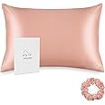 ALASKA BEAR Natural Silk Pillowcase, Hypoallergenic, 19 Momme, 600 Thread Count 100 Percent Mulberry Silk, Queen Size with Hidden Zipper (1, Dusty Pink)