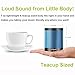 ZEALOT S5 Portable Bluetooth Speakers Mini Wireless Music Player via Micro SD Card/USB Reader Loud Super Bass(Blue Black)