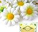 (100) Silk White Gerbera Daisy Flower Heads , Gerber Daisies - 1.75