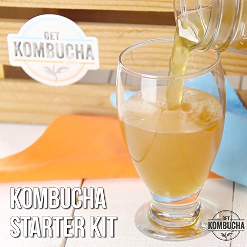 Home & Kitchen, Kitchen & Dining, Home Brewing & Wine Making, Fermentation & More, Fermenters