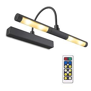 BIGLIGHT Wireless Battery Operated Bright LED Picture Light with Remote, Rotatable Light Heads of 3 Lighting Modes, Dimmable Display Lamp with Timer for Painting/Picture Frame/Mirror/Artwork, Black