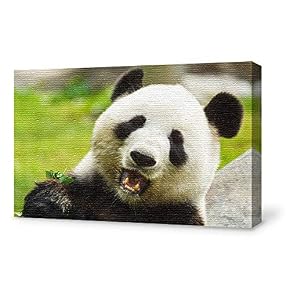 SIGNFORD Canvas Wall Art for Living Room,Bedroom Home...