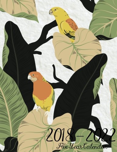 2018 - 2022 Five Year Calendar: July 2018 - December 2022 Five Year Planner, Monthly Schedule Organi by Joy M. Port