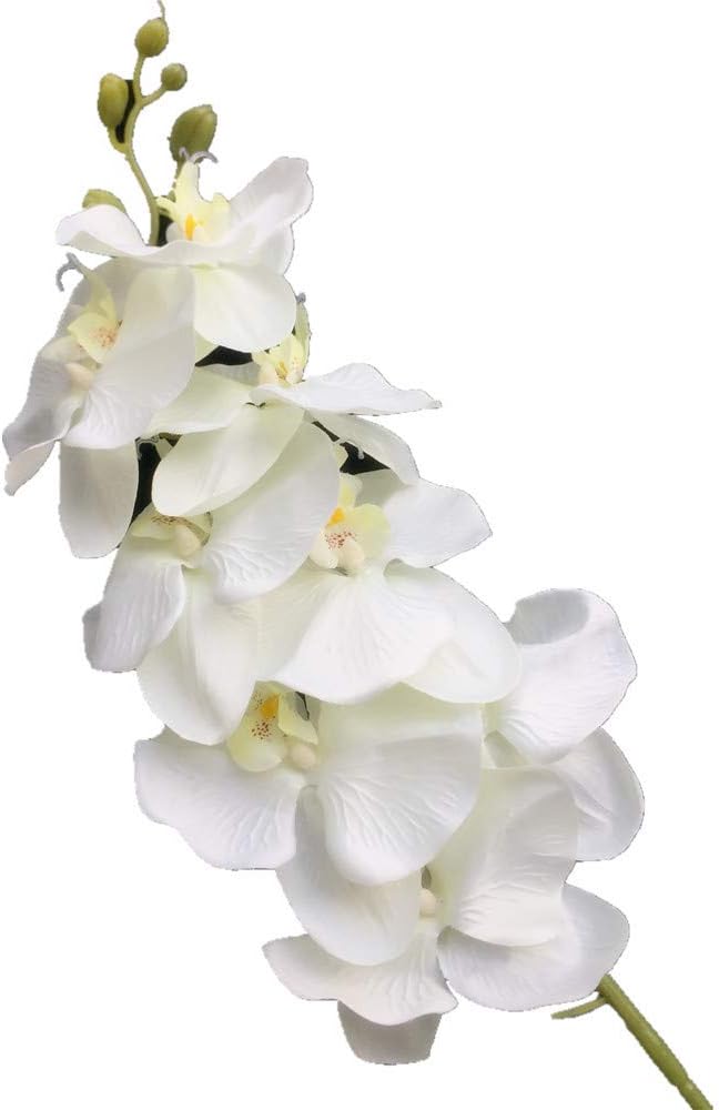 10pcs Artificial Phalaenopsis Butterfly Moth Orchid Fake Orchids Flower for Wedding Centerpieces Decorative Artificial Flowers (Cream)