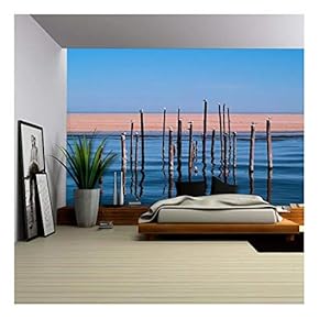 Birds Stand at The Stake in The Water - Removable Wall Mural | Self-Adhesive Large Wallpaper - 66x96 inches