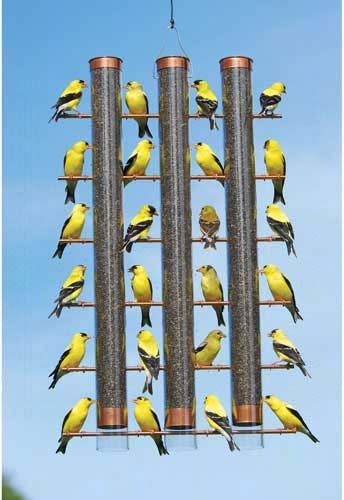Birdscapes 736 Upside Down Goldfinch Feeder Outdoor Home Garden