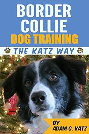 border collie trainer near me