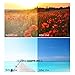Polarized Sunglasses for Men Driving Mens Sunglasses Rectangular Vintage Sun Glasses for Men/Women