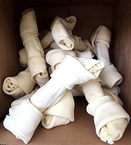 running with boston terrier