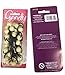 Goody Girls Mosaic Twinbead Ponytailer, 16 Count, pack of 1(Assorted Colors)
