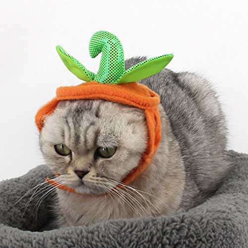 PET SHOW Pet Halloween Pumpkins Hat for Cats and Small Dogs Party Costume Accessory Headwear Pack of 1