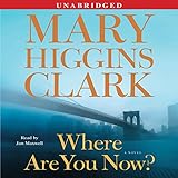 Where Are You Now?: A Novel