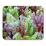 Mouse Pads Red Allotment Colorful Garden Swiss