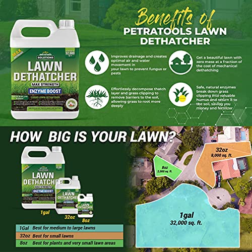 PetraTools Liquid Dethatcher, Lawn Dethatcher & Aerator, Grass