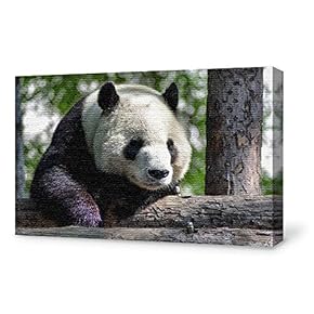 for Living Room Bedroom Home Artwork Paintings Cute Panda