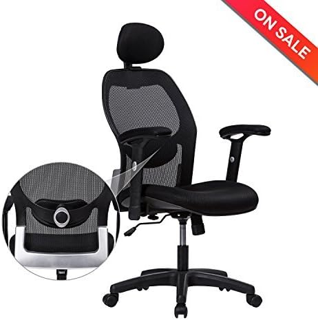 LONGEM High-Back Mesh Office Chair - Adjustable Armrests,Back Lumbar Support,Adjustable Headrest Ergonomic Computer Desk Task Executive Chair(BIMFA Certified)