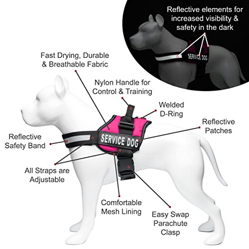 Official Service Dog Travel Kit Includes Service
