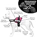Service Dog Vest with Hook and Loop Straps and Handle - Harness is Available in 8 Sizes from XXXS to XXL - Service Dog Harness Features Reflective Patch and Comfortable Mesh Design