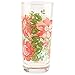 Pioneer Woman 16 oz Rose Shadow Glass Cooler Set Drinking Cups Tumbler Floral
