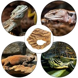Reptile Hideout Cave Climbing Ramp Basking Platform
