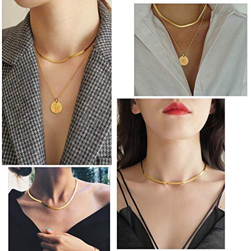 PROSTEEL-Donna-Choker-Collana-a-Girocollo-a-Catena-Cubana-Figaro-Scatola-Serpente-Piatta-Veneziana-Robusta-Sottile-Lunghezze-Regolabile-in-Acciaio-Argento-Oro-Nero-Hip-Hop-Punk-con-Confezione