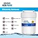 Golden Icepure MWF Refrigerator Water Filter Replacement for GE MWF SmartWater, MWFP, MWFA, Kenmore 469991, GWF, HWF, HWFA, FMG-1