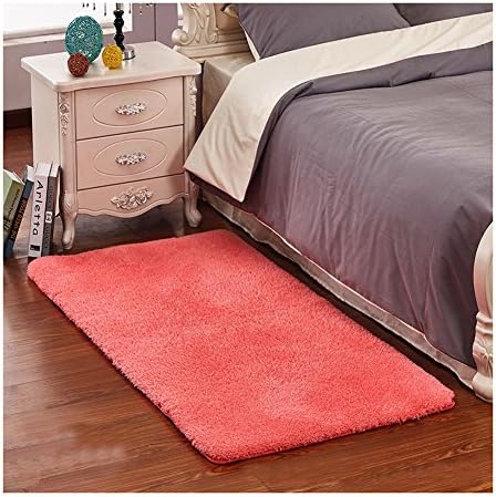 Ultra Soft Bedroom Stepping Carpet,Decorative Living Room Shaggy Area Rug,Fluffy floor Mat with Anti-Slip Bottom (Watermelon,15" x 23")