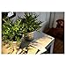 Ikea Artificial Potted Plant Bamboo 11