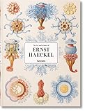 The Art and Science of Ernst Haeckel XXL (Multilingual Edition) cover
