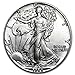 1988-1 Ounce American Silver Eagle Shipping .999 Fine Silver with our Certificate of Authenticity Dollar Uncirculated US Mint