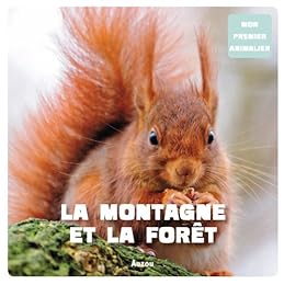 La  montagne et la forêt