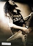 J-1206 Pantera - Dimebag Darrell - Music Wall Decoration Poster#2 Size 24