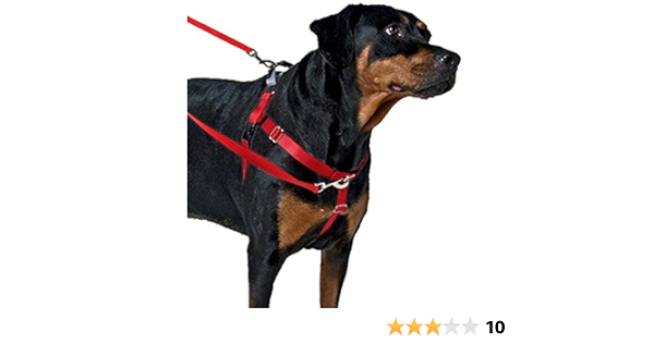 happy at heel harness amazon