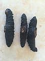 Erlin 1lb Sun Dried Black Spiny Sea Cucumber From North America Small Size