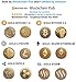 GOLD BITCOIN 2.0 + GOLD STEEM - 