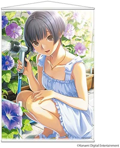 Amazon ラブプラス Blossom Girl リンコ B2タペストリー アニメ 萌えグッズ 通販