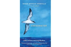 Shearwater: A Bird, an Ocean, and a Long Way Home