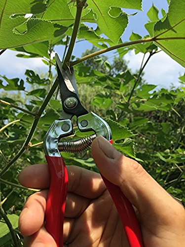 Roontin Pruning Shears, SK-5 Steel Blades Bypass Pruner with Non-Slip Ergonomics Handles and Safety Lock for Tree Trimmers Secateurs, Hand Pruners,Gardening Scissors and More (Pruning Scissors)