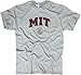 New York Fashion Police MIT T-Shirt Massachusetts Institute of Technology MIT Shirt Arch Grey L