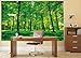 Photo Wallpaper – Summer Trees – Picture Decoration Nature Landscape Forest Glade Sunbeams Garden Plants Ferns Recreation Park Image Decor Wall Mural (82.7x55.1in - 210x140cm)
