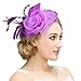 Valdler Halloween Costume Feather Net and Veil Fascinator Hair Clip Hat Hair Accessories Clip for Festival Party Purple