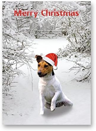 merry christmas jack russell